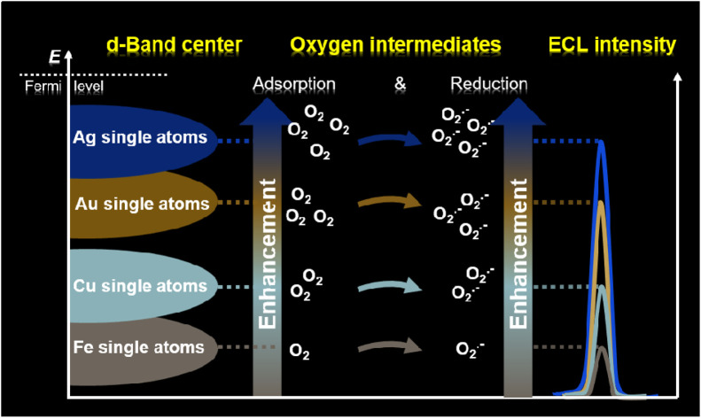 graphic file with name d4sc03763d-ga.jpg