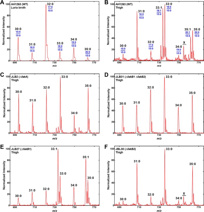 FIG 3