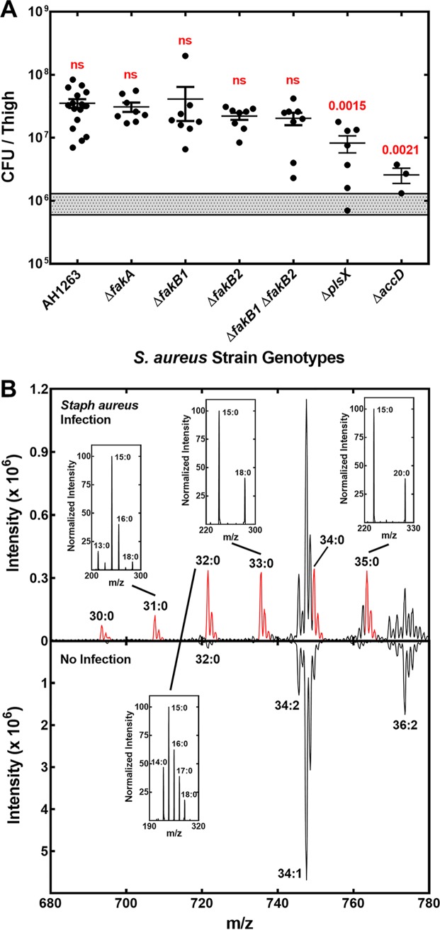 FIG 2