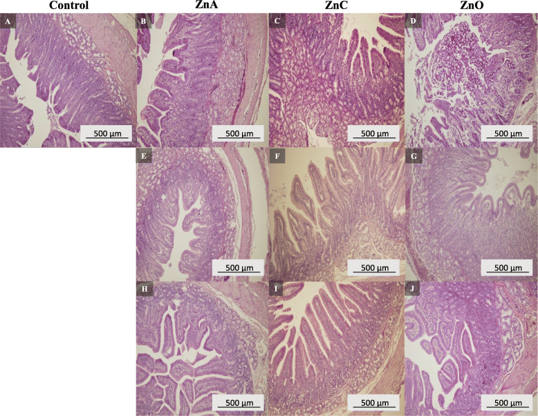 Fig. 5