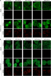 FIG 3