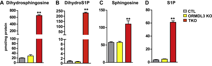 Fig. 7