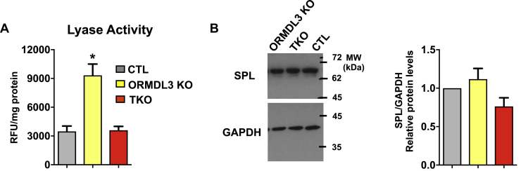 Fig. 8