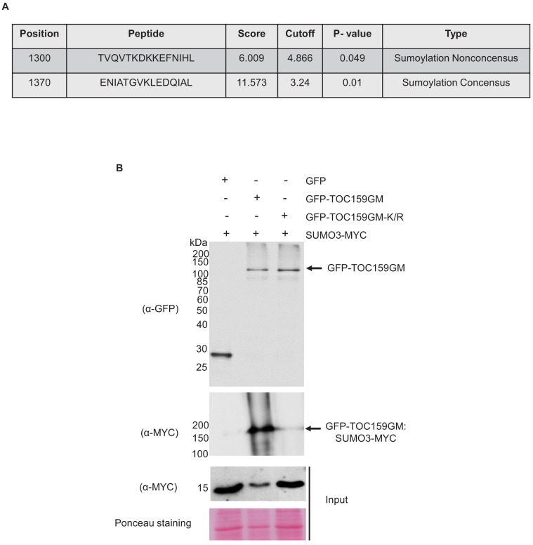 Figure 1—figure supplement 2.