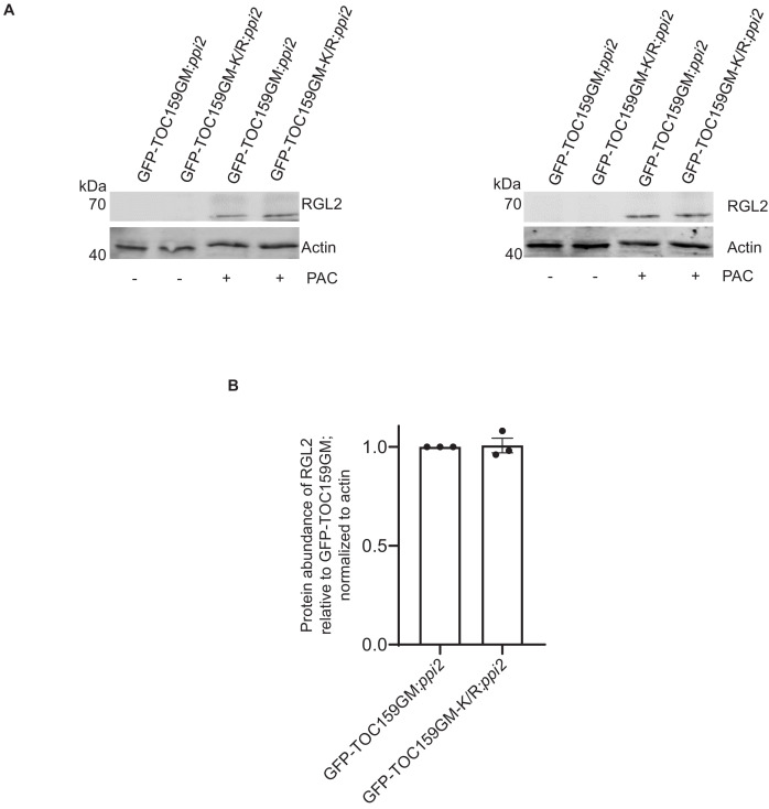 Figure 3—figure supplement 3.