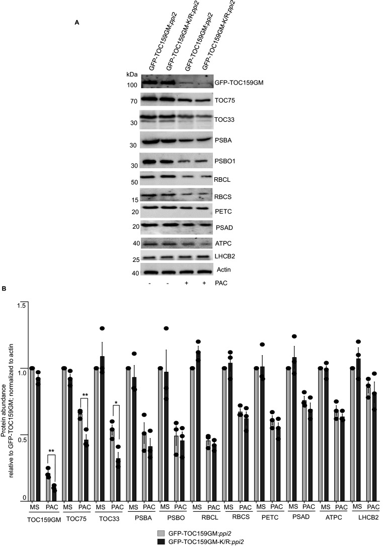 Figure 3—figure supplement 5.