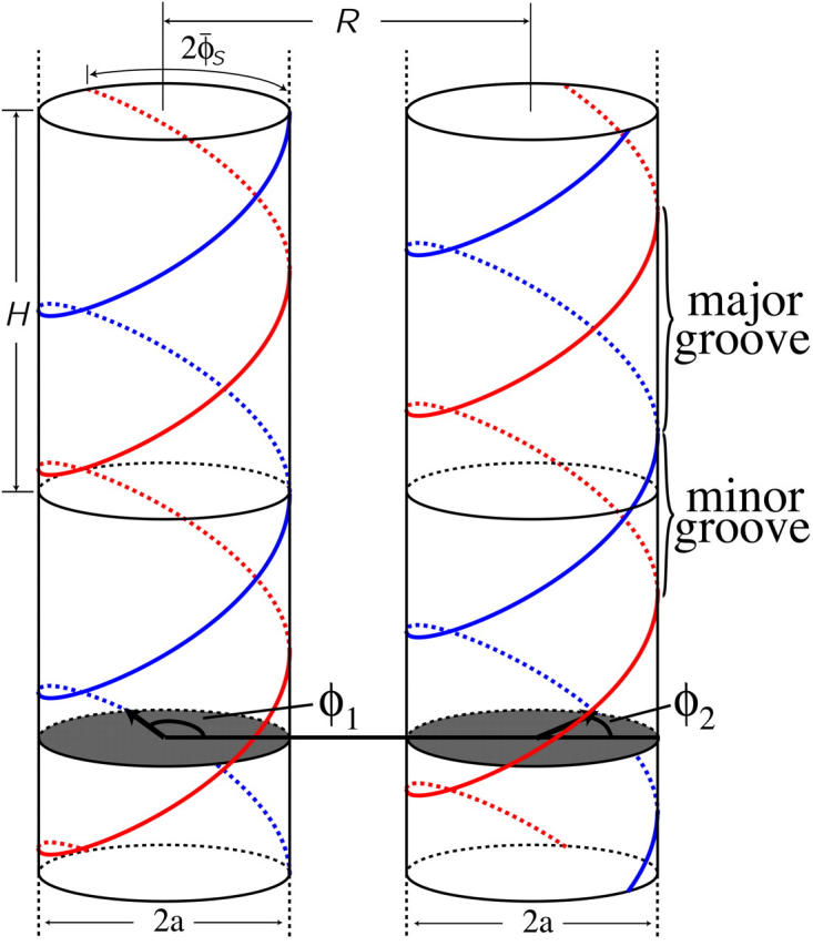 FIGURE 1