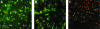 FIG. 6.