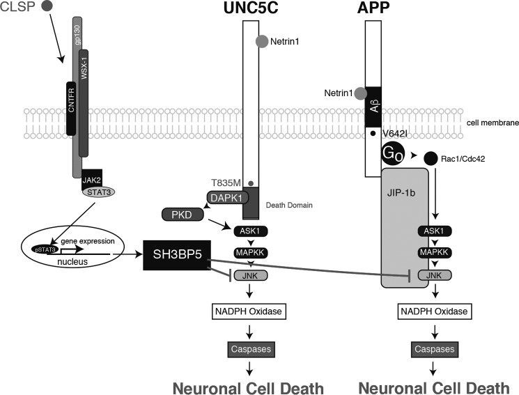 FIGURE 10.