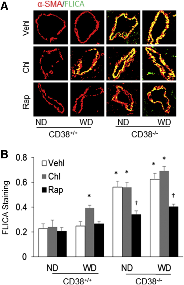 Figure 6