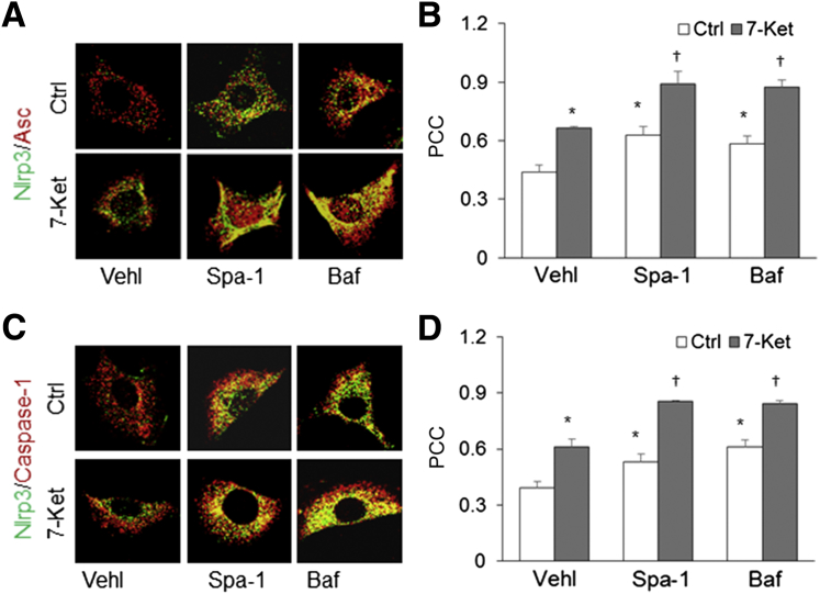 Figure 3