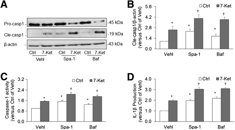 Figure 4