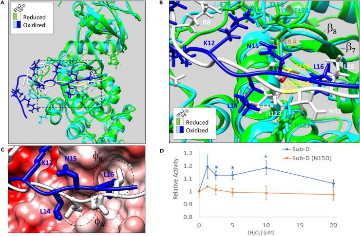 Figure 4