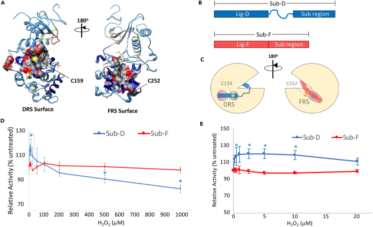 Figure 2