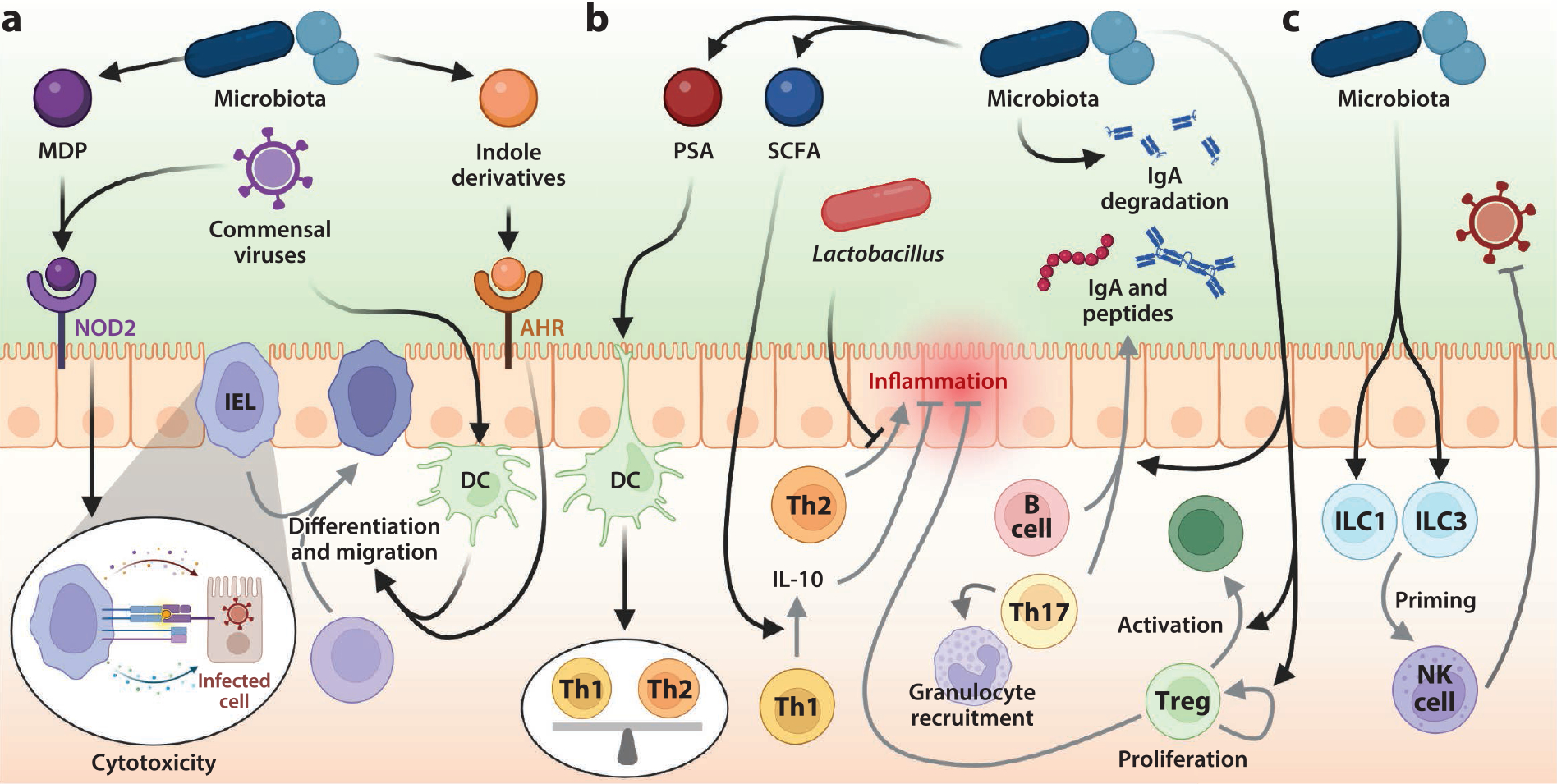 Figure 6.