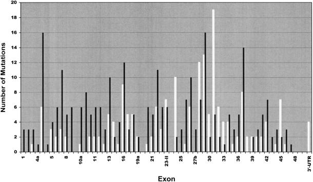 Figure  1