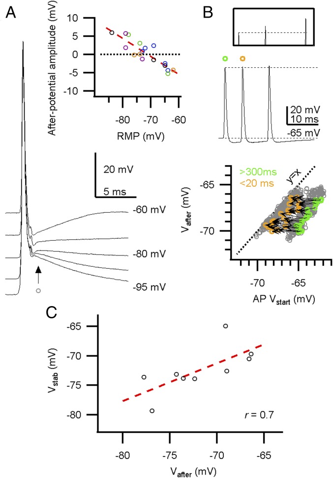 Fig. 3.