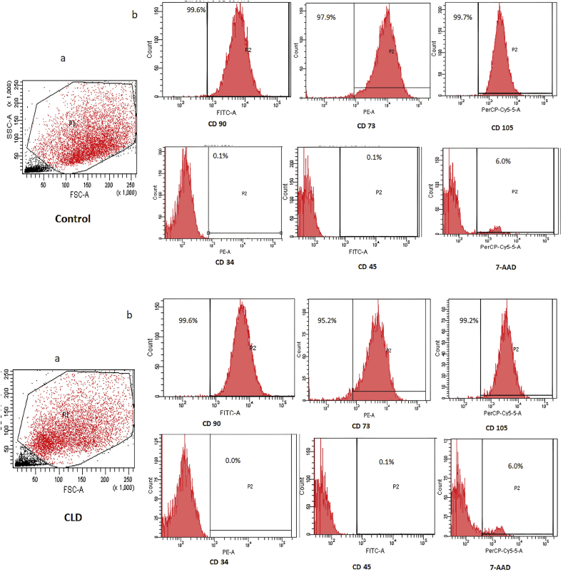 Figure 1