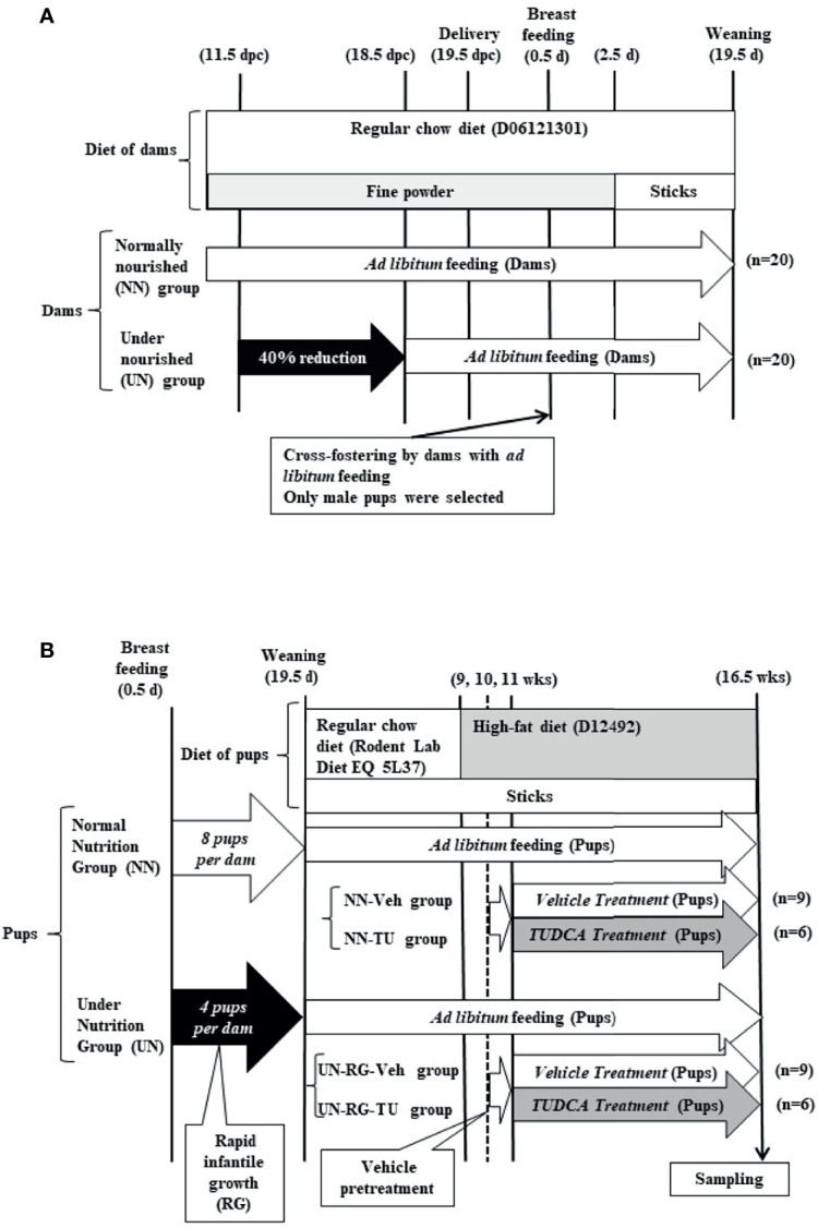 Figure 1