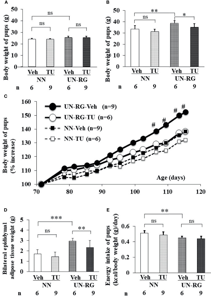 Figure 3