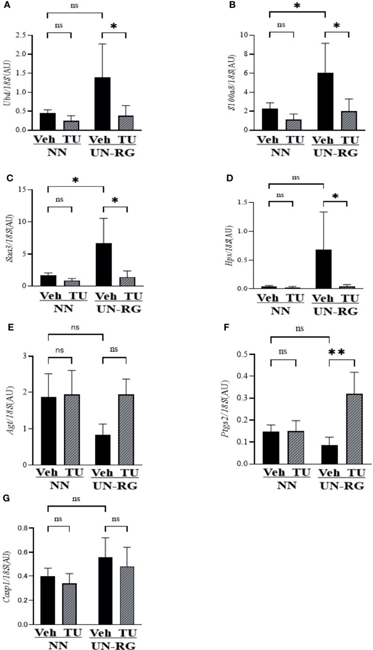 Figure 7