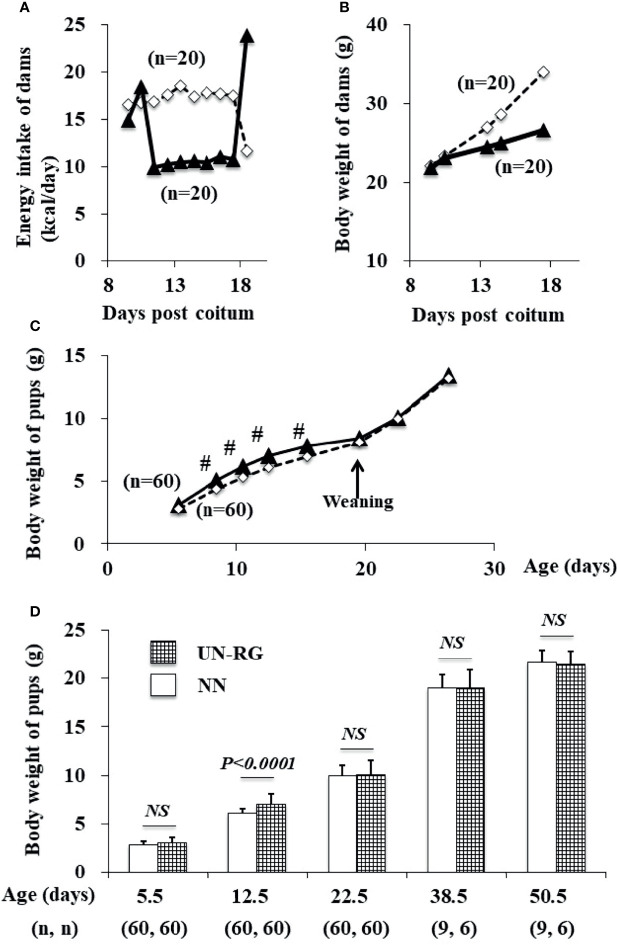 Figure 2