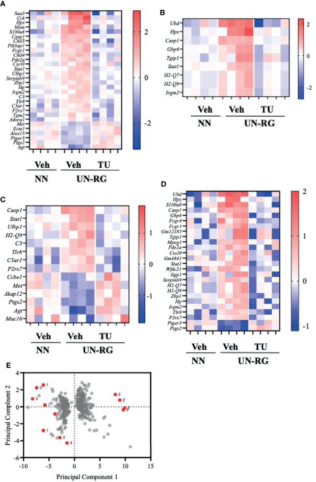 Figure 6