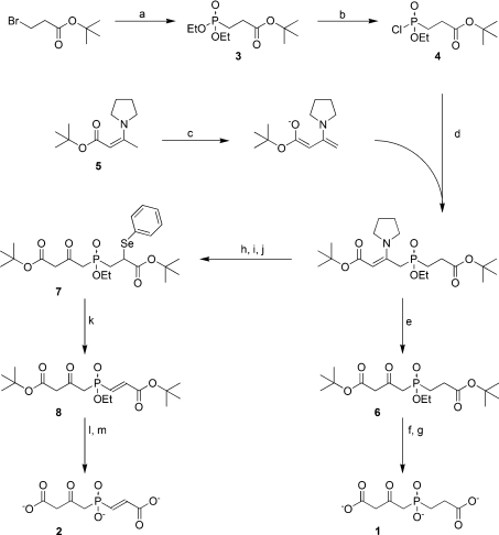 Scheme 1