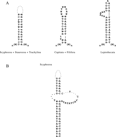 FIG. 4.—