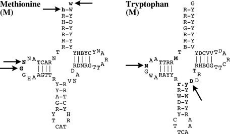 FIG. 3.—