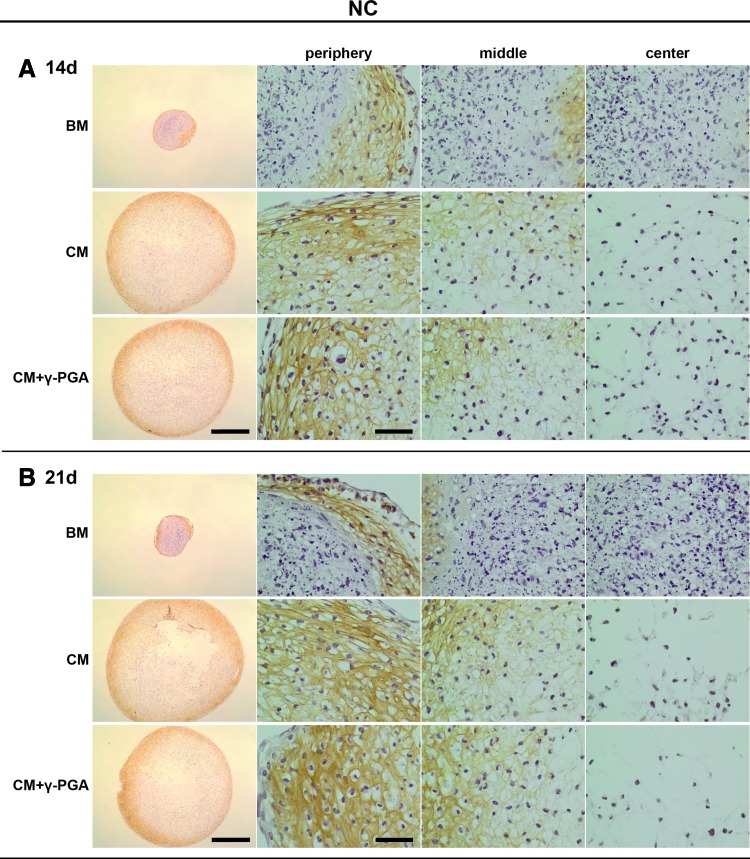 FIG. 8.