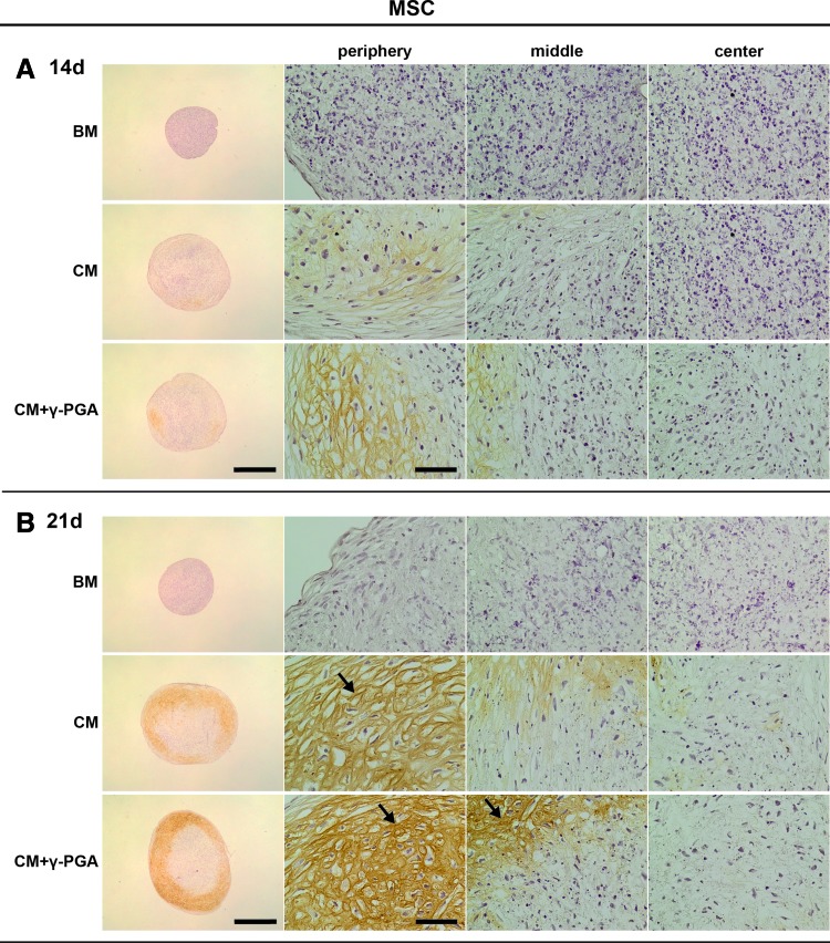 FIG. 7.