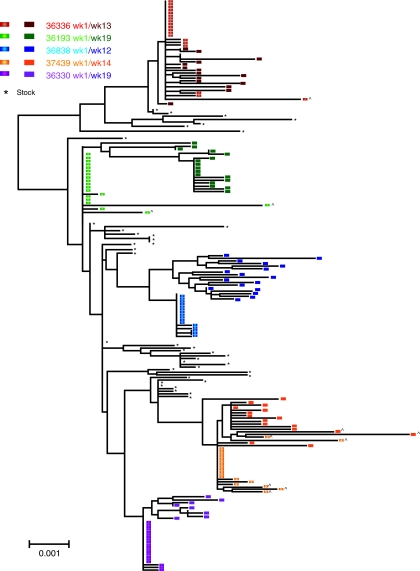 FIG. 3.