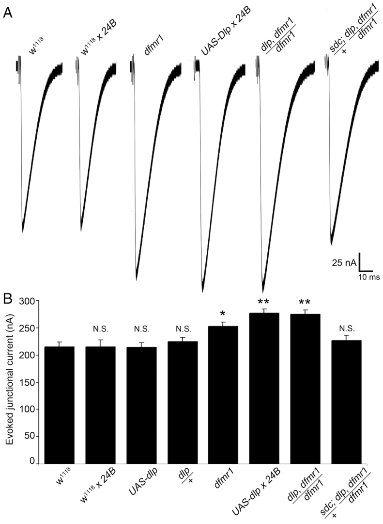 Fig. 7.