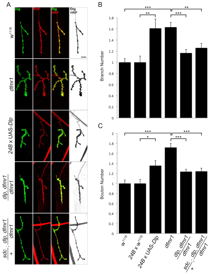 Fig. 6.