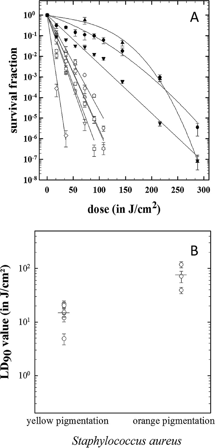 FIG 3