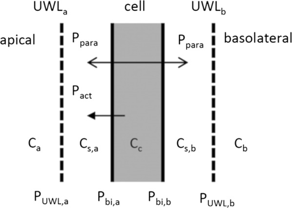 Fig. 11