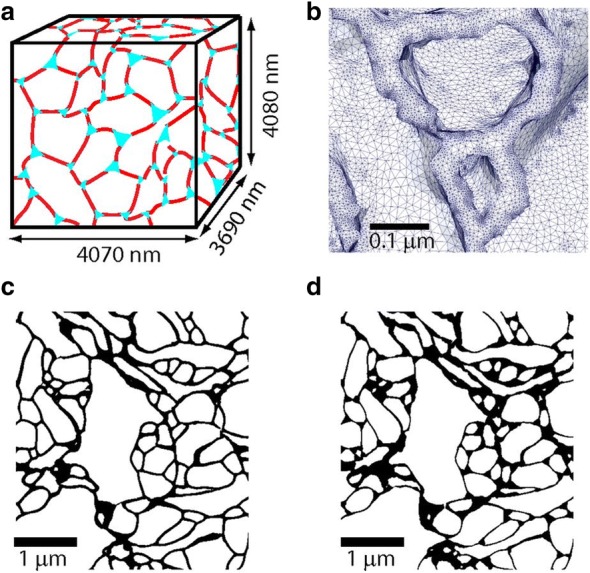 Fig. 12