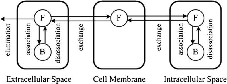 Fig. 13