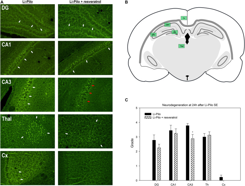 FIGURE 4