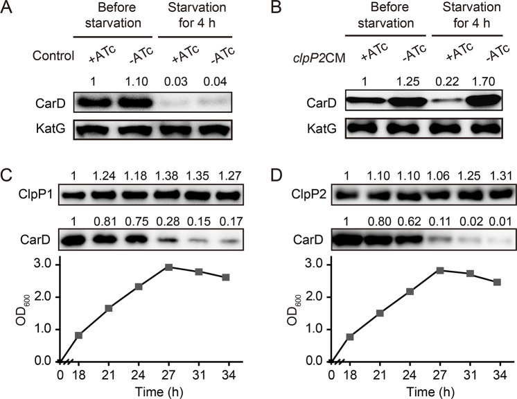 Figure 3—figure supplement 2.