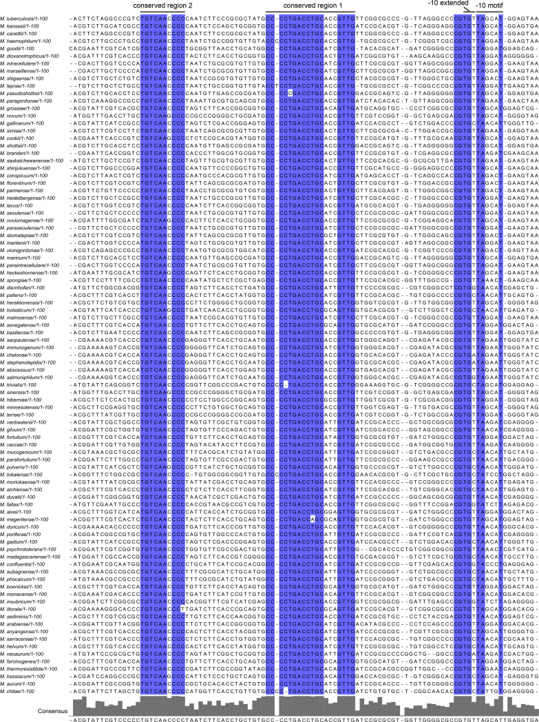 Figure 7—figure supplement 1.