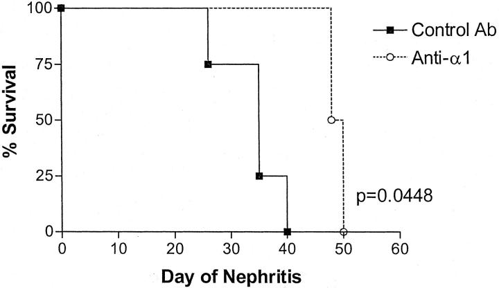 Figure 11.