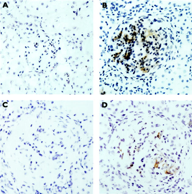 Figure 10.