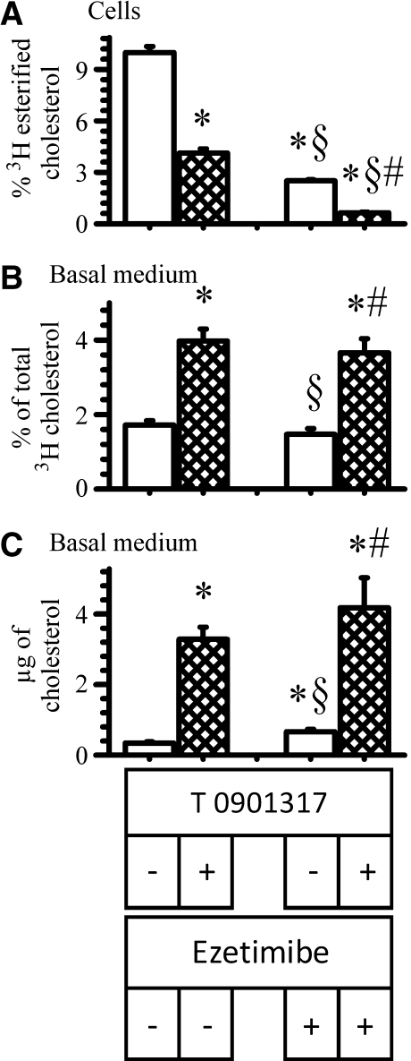 Fig. 9.