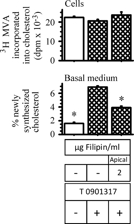 Fig. 8.