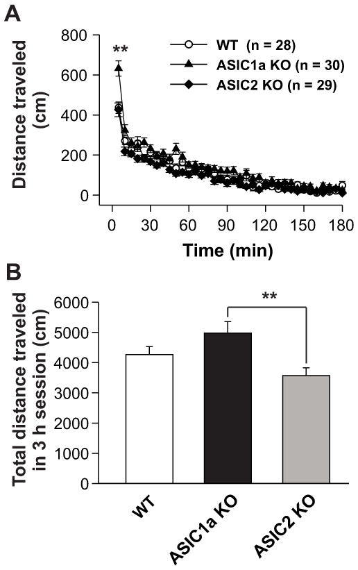 Fig.1