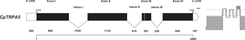 Fig. 3.