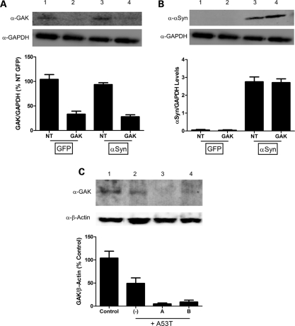 Figure 2.