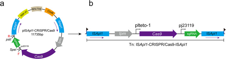 FIG 2